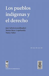 Baixar Los pueblos indígenas y el derecho pdf, epub, ebook