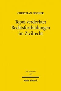 Baixar Topoi verdeckter Rechtsfortbildungen im Zivilrecht (Jus Privatum) pdf, epub, ebook