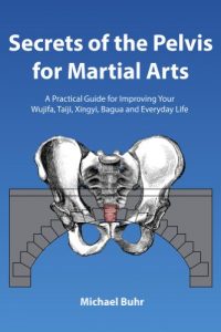 Baixar Secrets of the Pelvis for Martial Arts: A Practical Guide for Improving Your  Wujifa, Taiji, Xingyi, Bagua and Everyday Life (English Edition) pdf, epub, ebook