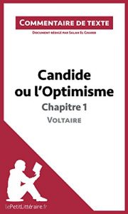 Baixar Candide ou l’Optimisme de Voltaire – Chapitre 1: Commentaire de texte (French Edition) pdf, epub, ebook