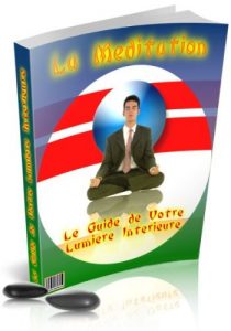 Baixar Le Guide de la Méditation (French Edition) pdf, epub, ebook
