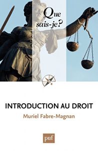 Baixar Introduction au droit: « Que sais-je ? » n° 1808 pdf, epub, ebook