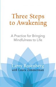 Baixar Three Steps to Awakening: A Practice for Bringing Mindfulness to Life pdf, epub, ebook
