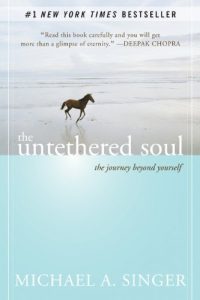 Baixar The Untethered Soul: The Journey Beyond Yourself pdf, epub, ebook