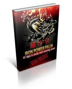 Baixar Iron Power Palm – Lethal Kungfu Iron Palm Training Revealed (English Edition) pdf, epub, ebook