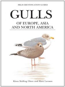 Baixar Gulls of Europe, Asia and North America (Helm Identification Guides) pdf, epub, ebook