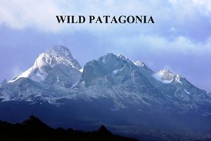 Baixar Wild Patagonia (English Edition) pdf, epub, ebook