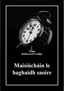 Baixar Maisiúcháin le haghaidh saoire (Irish Edition) pdf, epub, ebook
