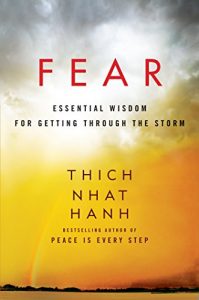 Baixar Fear: Essential Wisdom for Getting Through the Storm pdf, epub, ebook