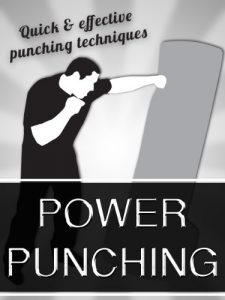 Baixar Power Punching – Fast and Effective Power Punching Techniques (English Edition) pdf, epub, ebook