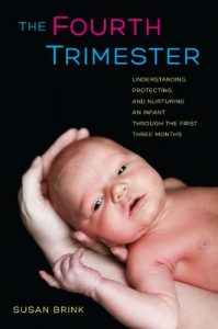 Baixar The Fourth Trimester: Understanding, Protecting, and Nurturing an Infant through the First Three Months pdf, epub, ebook