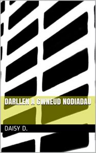 Baixar Darllen a gwneud nodiadau (Welsh Edition) pdf, epub, ebook