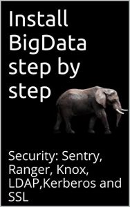 Baixar Install BigData step by step: Security: Sentry, Ranger, Knox, LDAP,Kerberos and SSL (English Edition) pdf, epub, ebook