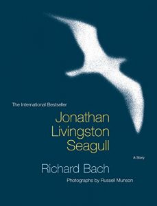 Baixar Jonathan Livingston Seagull (English Edition) pdf, epub, ebook