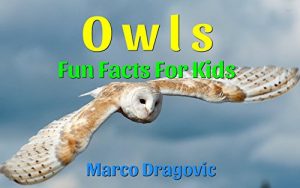 Baixar Owls: Fun Facts For Kids, Picture Books For Kids (English Edition) pdf, epub, ebook