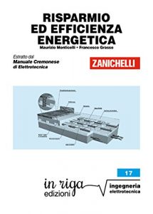 Baixar Risparmio ed efficienza energetica: Coedizione Zanichelli – in riga (in riga ingegneria Vol. 17) pdf, epub, ebook