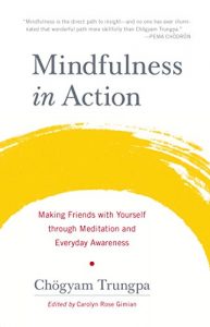 Baixar Mindfulness in Action: Making Friends with Yourself through Meditation and Everyday Awareness pdf, epub, ebook