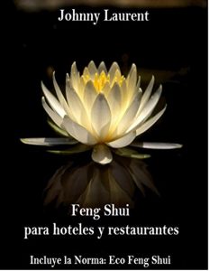 Baixar Feng Shui para hoteles y restaurantes: Incluye la Norma Eco Feng Shui (Spanish Edition) pdf, epub, ebook