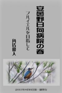 Baixar The Spring of Azumino Hinata Hospital (Japanese Edition) pdf, epub, ebook