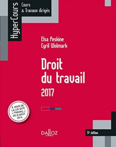 Baixar Droit du travail 2017 (HyperCours) (French Edition) pdf, epub, ebook