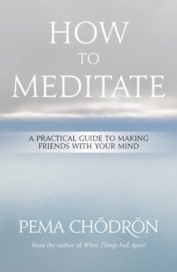 Baixar Meditation: How to Meditate: A Practical Guide to Making Friends with Your Mind pdf, epub, ebook