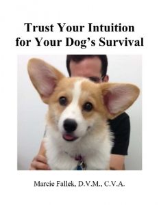 Baixar TRUST YOUR INTUITION FOR YOUR DOG’S SURVIVAL (Krishna’s Flute: The Spiritual Journey of a Holistic Veterinarian Book 1) (English Edition) pdf, epub, ebook