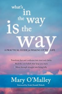 Baixar What’s in the Way Is the Way: A Practical Guide for Waking Up to Life pdf, epub, ebook