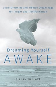 Baixar Dreaming Yourself Awake: Lucid Dreaming and Tibetan Dream Yoga for Insight and Transformation pdf, epub, ebook