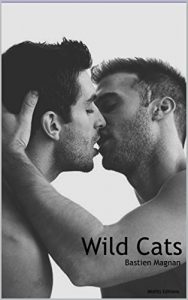 Baixar Wild cats (French Edition) pdf, epub, ebook