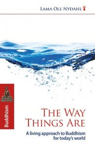 Baixar The Way Things Are (English Edition) pdf, epub, ebook