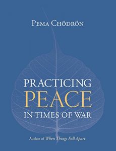 Baixar Practicing Peace in Times of War: A Buddhist Perspective pdf, epub, ebook