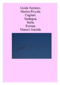 Baixar GUIDA TURISTICA CAGLIARI: MARINA PICCOLA. (GUIDA TURISTICA CAGLIARI. Vol. 2) pdf, epub, ebook