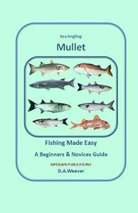 Baixar Sea Angling Mullet fishing made easy (Target species) (English Edition) pdf, epub, ebook
