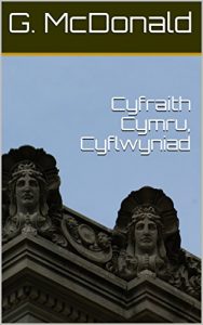 Baixar Cyfraith Cymru, Cyflwyniad (Welsh Edition) pdf, epub, ebook