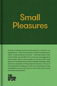 Baixar Small Pleasures (English Edition) pdf, epub, ebook