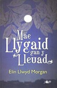 Baixar Mae Llygaid gan y Lleuad (Welsh Edition) pdf, epub, ebook