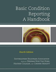 Baixar Basic Condition Reporting: A Handbook pdf, epub, ebook