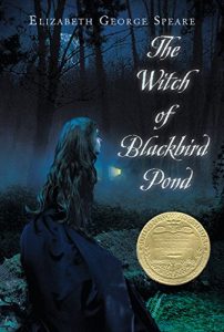 Baixar The Witch of Blackbird Pond pdf, epub, ebook