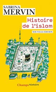 Baixar Histoire de l’islam: Fondements et doctrines (Champs Histoire) pdf, epub, ebook