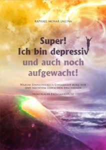 Baixar Super! Ich bin depressiv und auch noch aufgewacht!: (Nondualer Frühjahrsputz) (German Edition) pdf, epub, ebook