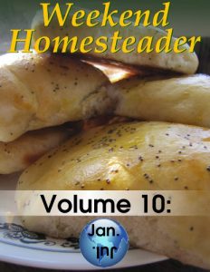 Baixar Weekend Homesteader: January (English Edition) pdf, epub, ebook