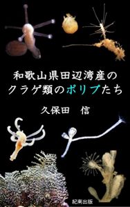 Baixar Jellyfish Polyps from Tanabe Bay Wakayama Prefecture (Japanese Edition) pdf, epub, ebook