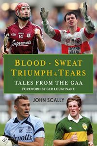 Baixar Blood, Sweat, Triumph & Tears: Tales from the GAA pdf, epub, ebook