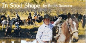 Baixar In Good Shape (Cowboy Chatter articles) (English Edition) pdf, epub, ebook
