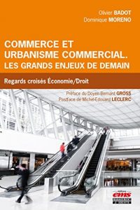 Baixar Commerce et urbanisme commercial. Les grands enjeux de demain: Regards croisés Economie/Droit pdf, epub, ebook