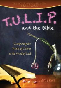 Baixar T.U.L.I.P. and the Bible (English Edition) pdf, epub, ebook