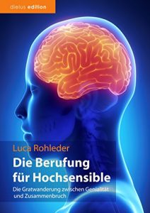 Baixar Die Berufung für Hochsensible: Die Gratwanderung zwischen Genialität und Zusammenbruch (German Edition) pdf, epub, ebook
