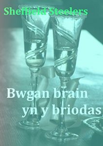 Baixar Bwgan brain yn y briodas (Welsh Edition) pdf, epub, ebook