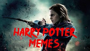 Baixar Harry Potter: Memes & Funny Stuff Guaranteed to Make You Laugh! (English Edition) pdf, epub, ebook