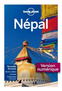 Baixar Népal 7 (GUIDE DE VOYAGE) pdf, epub, ebook